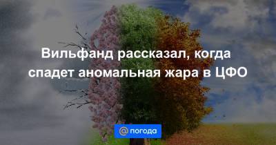 Роман Вильфанда - Вильфанд рассказал, когда спадет аномальная жара в ЦФО - news.mail.ru - Москва - ЦФО