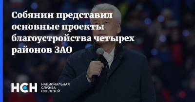 Сергей Собянин - Собянин представил основные проекты благоустройства четырех районов ЗАО - nsn.fm - Москва - округ Западный - Благоустройство