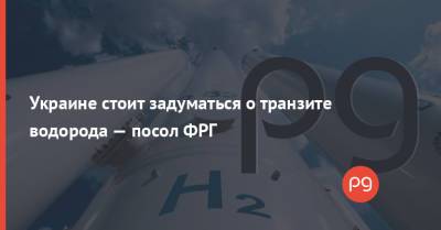 Анка Фельдгузен - Украине стоит задуматься о транзите водорода — посол ФРГ - thepage.ua - Украина - Германия