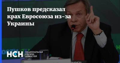 Владимир Зеленский - Алексей Пушков - Пушков предсказал крах Евросоюза из-за Украины - nsn.fm - Россия - Украина - Германия