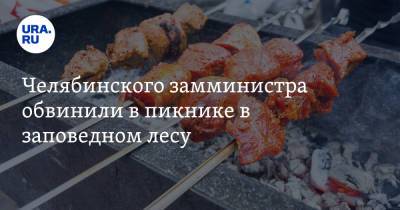 Челябинского замминистра обвинили в пикнике в заповедном лесу. Видео, фото - ura.news - Челябинская обл. - Челябинск - Экология