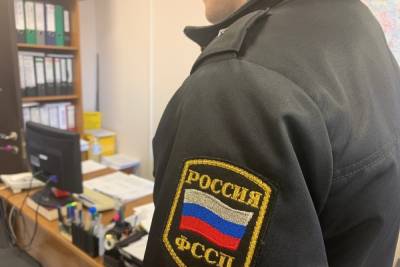Приставы разыскивают рязанца, задолжавшего по алиментам более миллиона рублей - rzn.mk.ru - Россия - Рязанская обл.