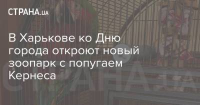 Геннадий Кернес - Игорь Терехов - В Харькове ко Дню города откроют новый зоопарк с попугаем Кернеса - strana.ua - Украина - Берлин - Харьков - День