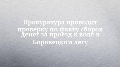 Руслан Галиев - Прокуратура проводит проверку по факту сборов денег за проезд к воде в Боровецком лесу - chelny-izvest.ru - респ. Татарстан - район Тукаевский