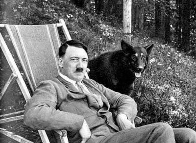 Адольф Гитлер - Почему Гитлер, за жестокое обращение с животными, сажал в концлагерь - russian7.ru - Англия - Германия