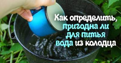 Как понять, что из колодца можно напиться без опаски - skuke.net