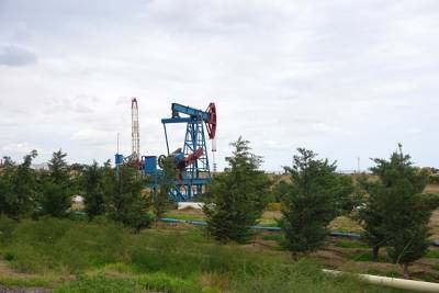 Прокуратура взыскала с «дочки» «Роснефти» ₽800 тыс. за разлитую нефть - znak.com - Югра - район Октябрьский