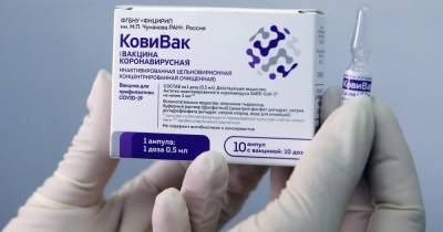 Вакцина "КовиВак" вновь закончилась в Москве - ren.tv - Москва - Россия