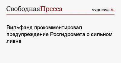 Роман Вильфанд - Вильфанд прокомментировал предупреждение Росгидромета о сильном ливне - svpressa.ru - Россия - Московская обл.
