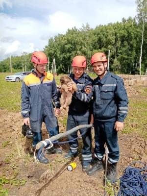 В Кузбассе спасатели достали щенка из трёхметровой выработки - gazeta.a42.ru - округ Кемеровский