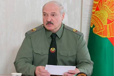 Александр Лукашенко - Нельсон Манделы - Лукашенко пошутил о диктатуре в Белоруссии - lenta.ru - Белоруссия - Эмираты