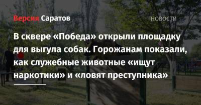 В сквере «Победа» открыли площадку для выгула собак. Горожанам показали, как служебные животные «ищут наркотики» и «ловят преступника» - nversia.ru - Россия - Саратов
