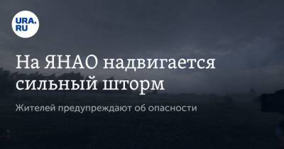 На ЯНАО надвигается сильный шторм. Жителей предупреждают об опасности - ura.news - окр. Янао - район Пуровский