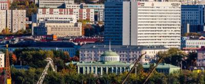В Мурманской области запустят программу «Арктический гектар» - runews24.ru - Мурманск - Мурманская обл.