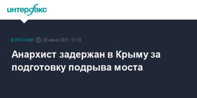 Анархист задержан в Крыму за подготовку подрыва моста - interfax.ru - Москва - Крым - Севастополь
