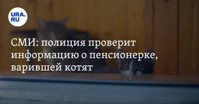 СМИ: полиция проверит информацию о пенсионерке, варившей котят - ura.news - Ростовская обл.
