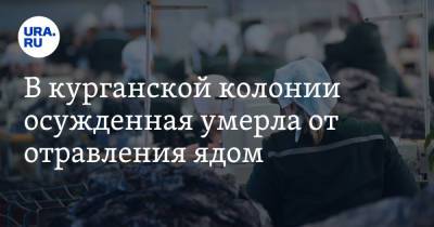 В курганской колонии осужденная умерла от отравления ядом - ura.news - Курганская обл. - Курган