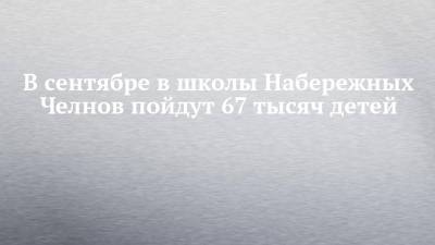 В сентябре в школы Набережных Челнов пойдут 67 тысяч детей - chelny-izvest.ru - Набережные Челны