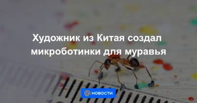 Художник из Китая создал микроботинки для муравья - news.mail.ru - Китай - провинция Хэбэй