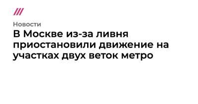 Евгений Тишковец - На двух ветках московского метро приостановили движение из-за ливня - tvrain.ru - Москва