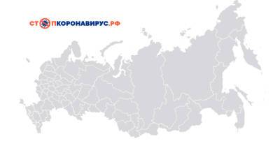 В интернете появились клоны официального сайта о коронавирусе в России - bash.news - Россия - Башкирия