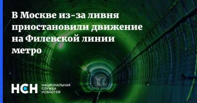 В Москве из-за ливня приостановили движение на Филевской линии метро - nsn.fm - Москва