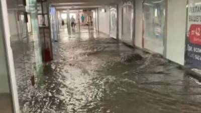В Москве закрыли три станции метро из-за ливня - piter.tv - Москва - Россия