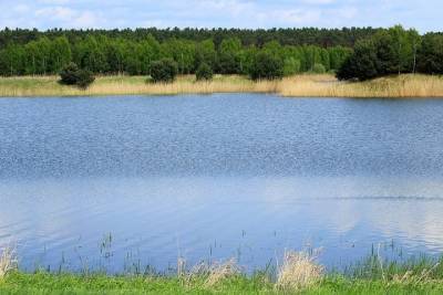 В водоемах Казани с начала купального сезона утонули 8 человек - kazan.mk.ru - респ. Татарстан - Казань