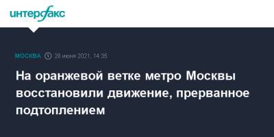 На оранжевой ветке метро Москвы восстановили движение, прерванное подтоплением - interfax.ru - Москва