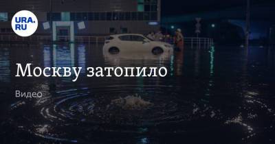 Евгений Тишковец - Москву затопило. Видео - ura.news - Москва - Московская обл.