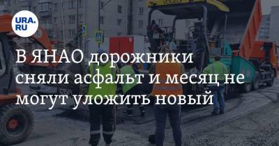 Юрий Денисов - В ЯНАО дорожники сняли асфальт и месяц не могут уложить новый - ura.news - окр. Янао