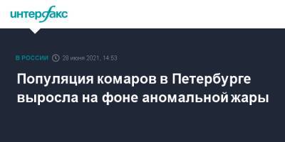 Популяция комаров в Петербурге выросла на фоне аномальной жары - interfax.ru - Москва - Россия - США - Санкт-Петербург - Петербург