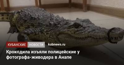 Крокодила изъяли полицейские у фотографа-живодера в Анапе - kubnews.ru - Анапа - Краснодарский край - Витязево