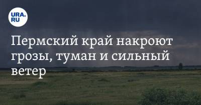 Пермский край накроют грозы, туман и сильный ветер - ura.news - Россия - Пермский край