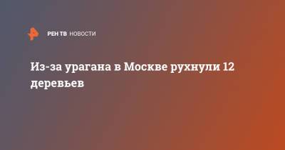 Из-за урагана в Москве рухнули 12 деревьев - ren.tv - Москва - Московская обл.