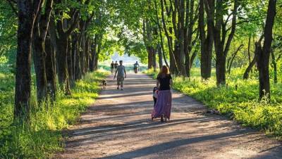 Новые выплаты, рост тарифов на ЖКУ, пенсии только на карты «Мир» - нововведения с 1 июля - afanasy.biz - Россия