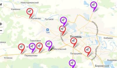 В Тюмени на Объездной и Московском тракте больше всего аварий с участием животных - nashgorod.ru - Тюмень - Тюменская обл.