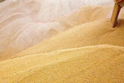 Экспортные цены на пшеницу РФ почти не изменились перед наступлением нового сезона - smartmoney.one - Москва - Россия - Новороссийск - Omsk - Reuters