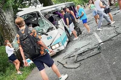 В российском регионе рейсовый автобус врезался в дерево - lenta.ru - Красноярский край - Красноярск - Калининградская обл. - Енисейск