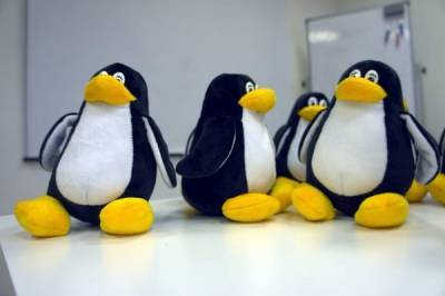 Huawei обвинили в разработке совершенно бесполезных патчей для Linux - cnews.ru - шт. Миннесота - По