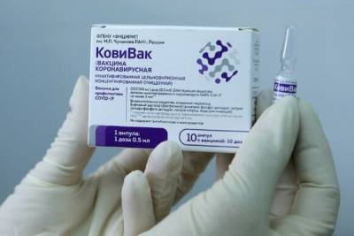 Самая успешная вакцина - newsland.com - Россия