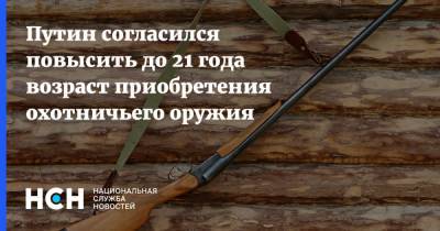 Владимир Путин - Путин согласился повысить до 21 года возраст приобретения охотничьего оружия - nsn.fm - Россия