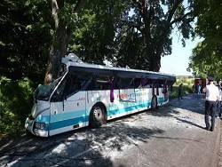 В Калининградской области пассажирский автобус врезался в дерево, пострадали 27 человек - newsland.com - Калининградская обл.