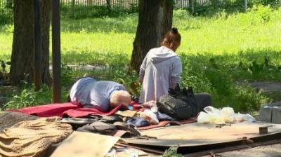 Дерутся и орут: пензенцам мешают бездомные на улице Рахманинова - penzainform.ru