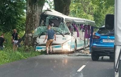 Скорость врезавшегося в дерево автобуса под Калининградом установили с помощью ГЛОНАСС - reendex.ru - Россия - Калининград - Калининградская обл.