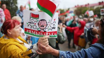 Владимир Зеленский - Вадим Карасев - В Киеве признали, что народы Крыма и Донбасса – «не украинские» - politnavigator.net - Россия - Украина - Киев - Крым - Севастополь - Донбасс