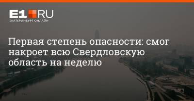 Максим Бутусов - Первая степень опасности: смог накроет всю Свердловскую область на неделю - e1.ru - Екатеринбург - Свердловская обл.