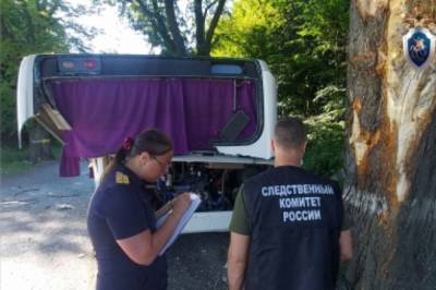 В ДТП с рейсовым автобусом под Калининградом пострадали 11 человек - aif.ru - Россия - Алтайский край - Калининград
