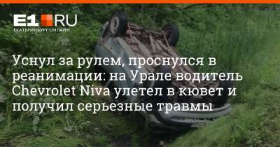 Уснул за рулем, проснулся в реанимации: на Урале водитель Chevrolet Niva улетел в кювет и получил серьезные травмы - e1.ru - Екатеринбург