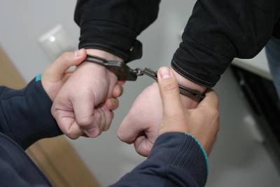 Директор «Музея славянской культуры» Антон Голубцов арестован в Москве - vm.ru - Москва - Директор